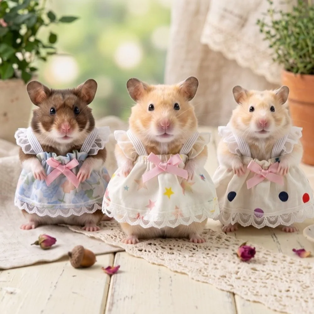 Princess Style Floral Lace Hamster Dress Soft Breathable Hamster Lace Skirt Lightweight Guinea Pig Princess Dress Birthday Party