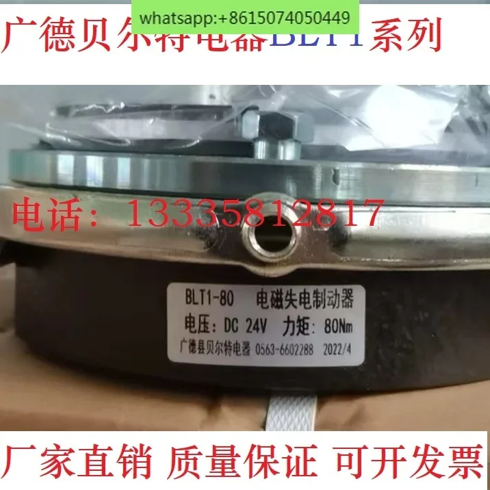 Guangde Belt Electric Electromagnetic Loss Brake BLT1-08/16/32/60/80/150 Wannan Motor