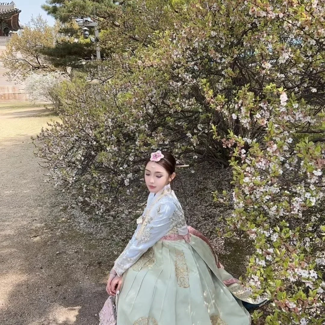 Disfraz de palacio de princesa coreana para mujer, vestido de boda femenino, Hanbok, ropa de rendimiento diario, ropa tradicional coreana, nuevo