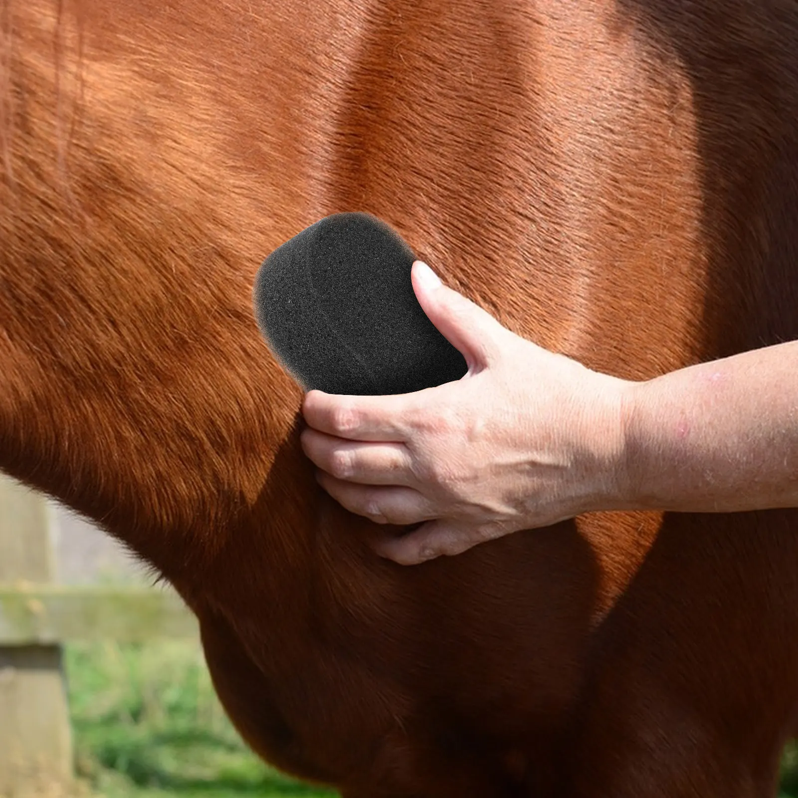 

Набор из 5 профессиональных губок для чистки лошадей: большие, мягкие, недеформируемые губки для ежедневного купания, ухода и удаления пота у скота