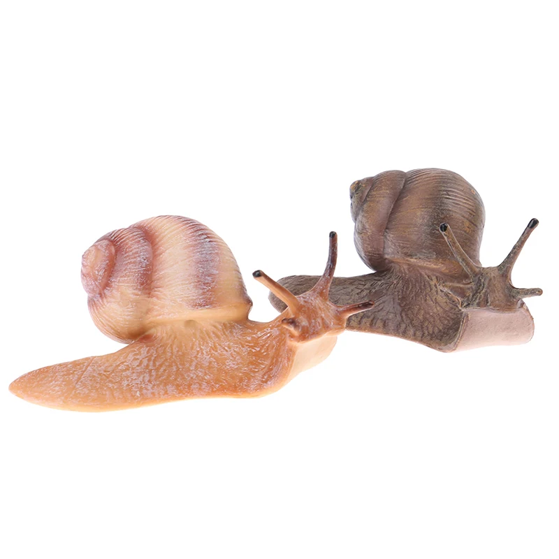 Simulation animal insect model mini animal snail growth cycle ornament Cognitive Educational Toys for children Gift