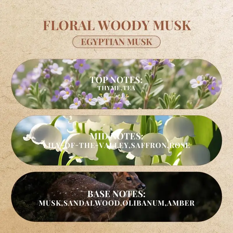 

[Y]10ml Women's Roll-On Fragrance A Trio Of Camellia, Tea & Woody Notes, Fresh, Elegant And Ultra-Soothing, Perfect Gift Choice