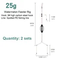 25g 2pcs