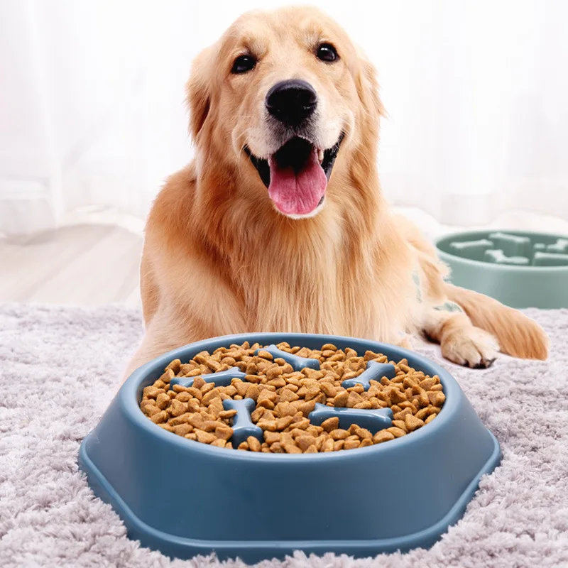 Cuenco antiasfixia para perros, cuenco de comida lenta con forma de hueso, cuenco alimentador para gatos, cuenco de comida para perros, suministros para mascotas