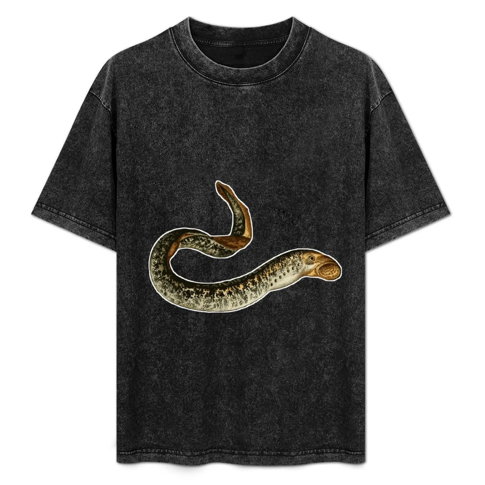 

Lamprey T-Shirt man graphic t shirt t shirt man cotton cotton tshirt 100% cotton t shirt pack T-Shirt