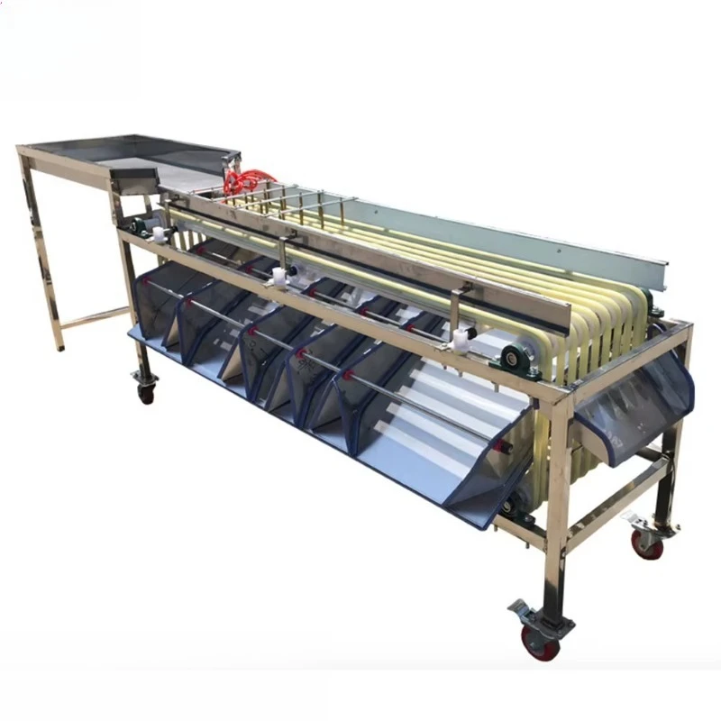 Fotografia 6: Máquina de Classificação de Frutas e Vegetais com Correia Transportadora