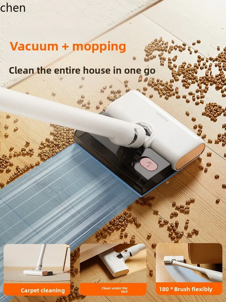 ZML aspirapolvere domestico grande aspirazione e traino piccolo aspirapolvere portatile ad alta potenza