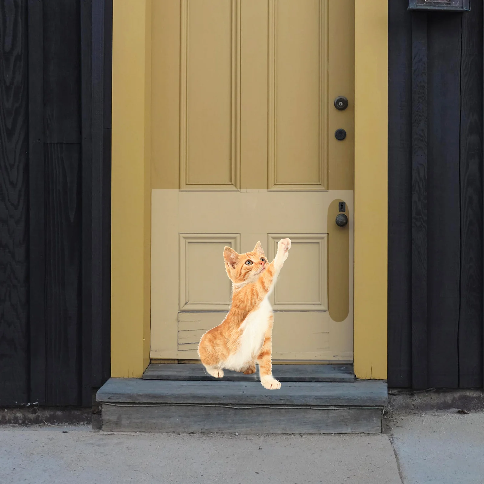 

2Pcs Door Door Supplies Sticker PVC AntiScratch Durable Dog Furniture Protection Patch Pet Supplies