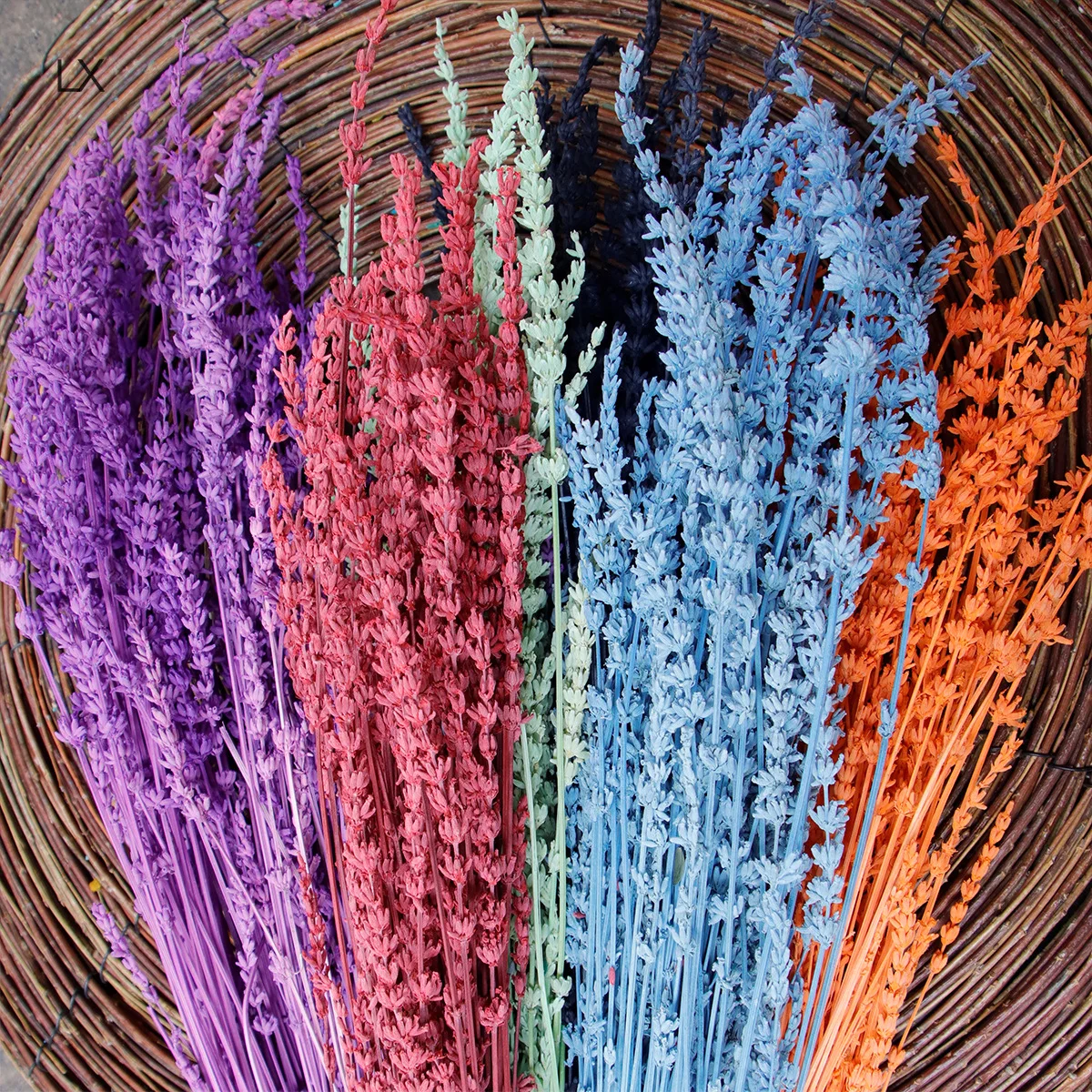 

Natural Dried Flowers Flocked Lavender Bundle Plants Wedding Bridle Bouquet Room Indoor Home Kitchen Office Table Decoration