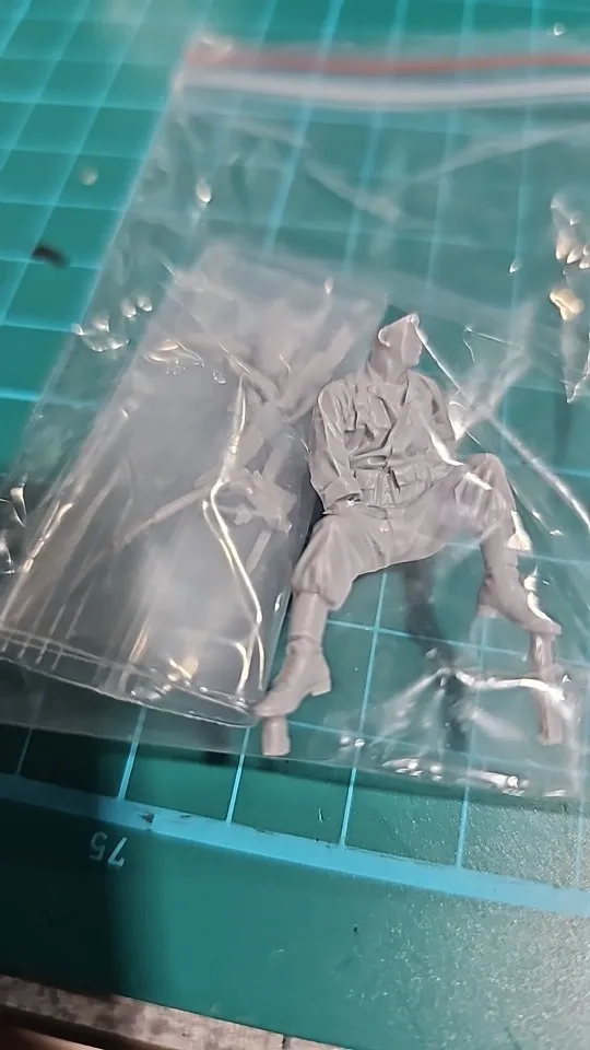 Buyer photo of this resin kit