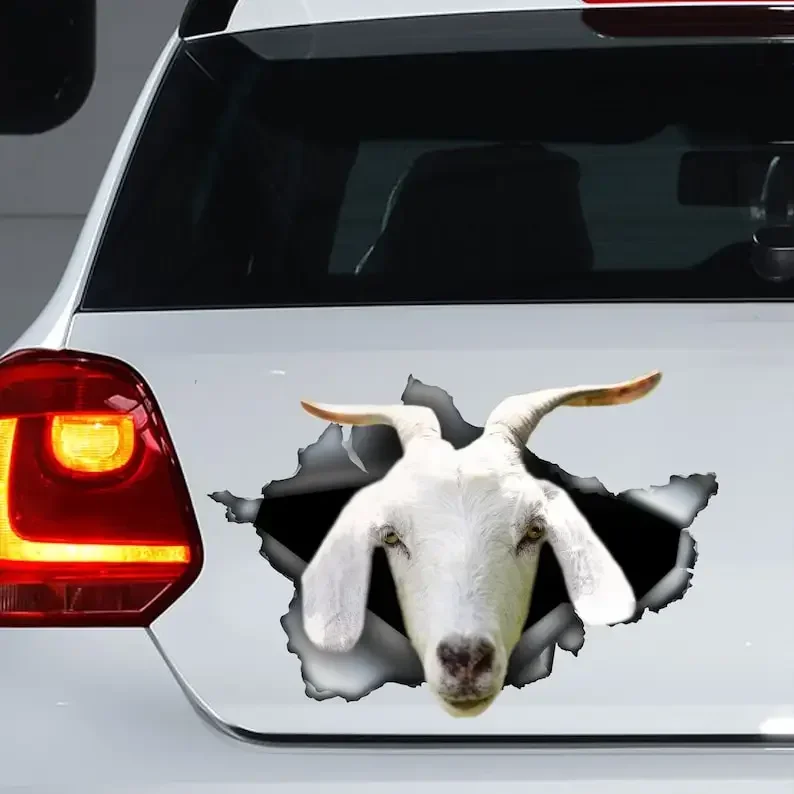 

Kiko goat car decal, Kiko goat magnet, Kiko goat car sticker,car decal, farm decal