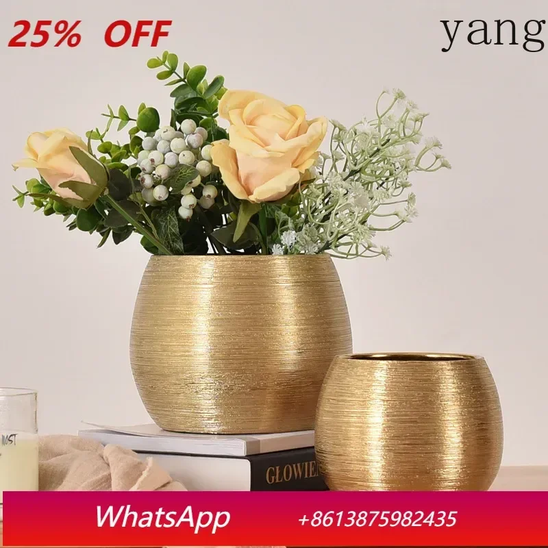 

Gold-plated ceramic wire drawing fleshy round flowerpot ins European living room decoration vase flower device