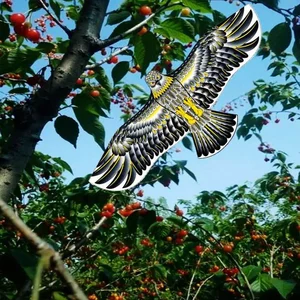 طائرة ورقية صقر طائر مضادة للطيور ، مبيد نسر كبير ، شرك فزاعة للمزرعة والحديقة ، مبيد الآفات أعلى 8 مبيعات فزاعة الصقر - رقم 1