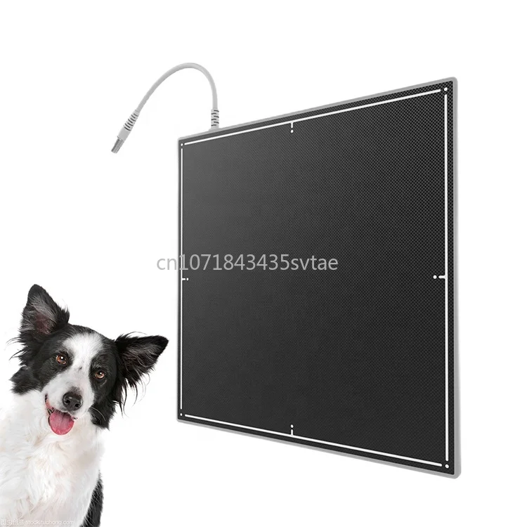 CareRay 1800Le 17*17 Wired Digital X Ray Flat Panel Detector Price Human Veterinary Use