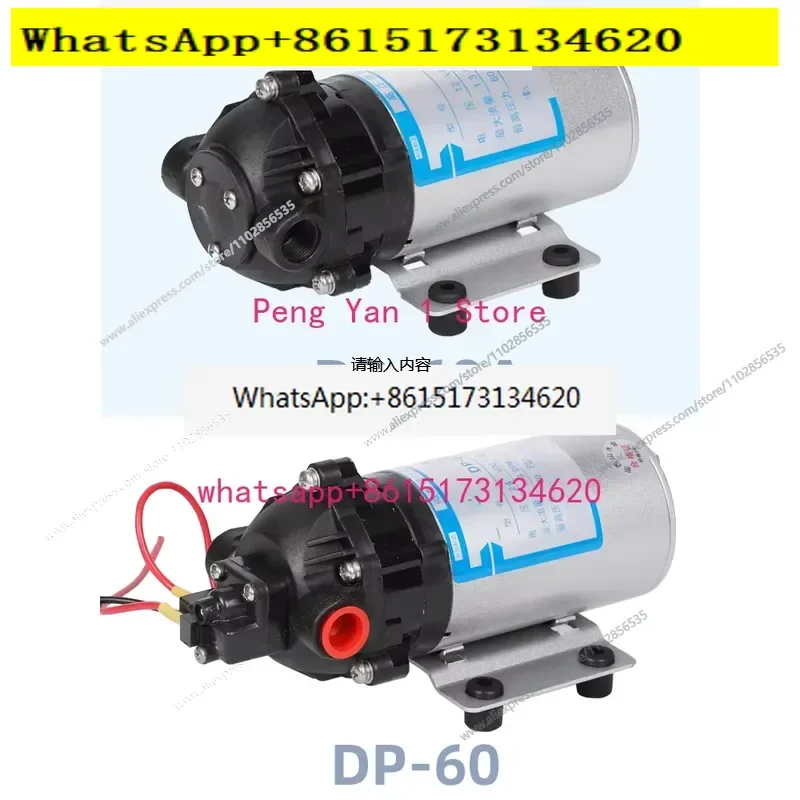 12V 24V Miniature High Pressure Diaphragm Pump DP-60 60A 35 DC Spray Pump for Car Washing