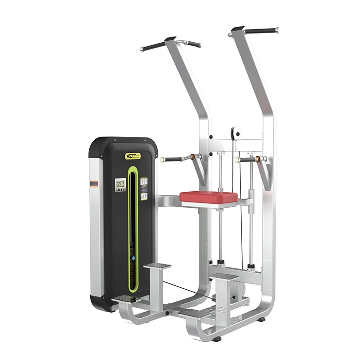 China Factory Gym Equipment ASJ-ZM025 Professional Gym Fitness Equipment Pin Loaded Strength Training  Dip/Chin Assist