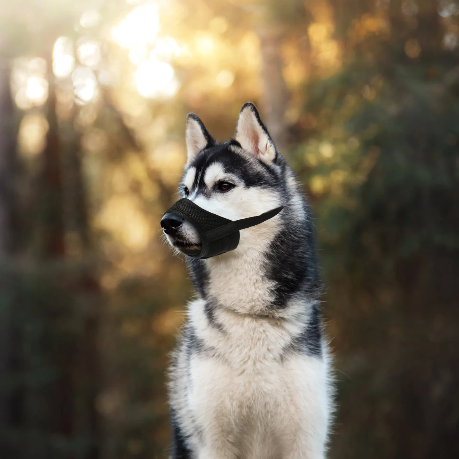 

1pc Anti-Bite Dog Lightweight Breathable Hollow Design For Dog Muzzle Drinking Water Fit For Large Dogs Pet Supplies