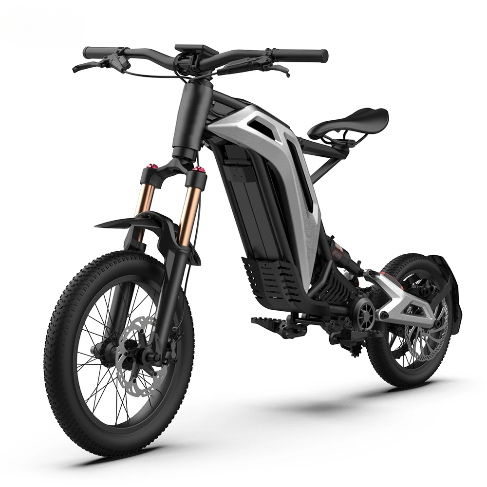 79bike 750w 50KM/h 48V 25AH Off Road Scooter Enduro Ebike Suspension Mid Motor Drive Electric Mountain Bike Electric Motorcycles