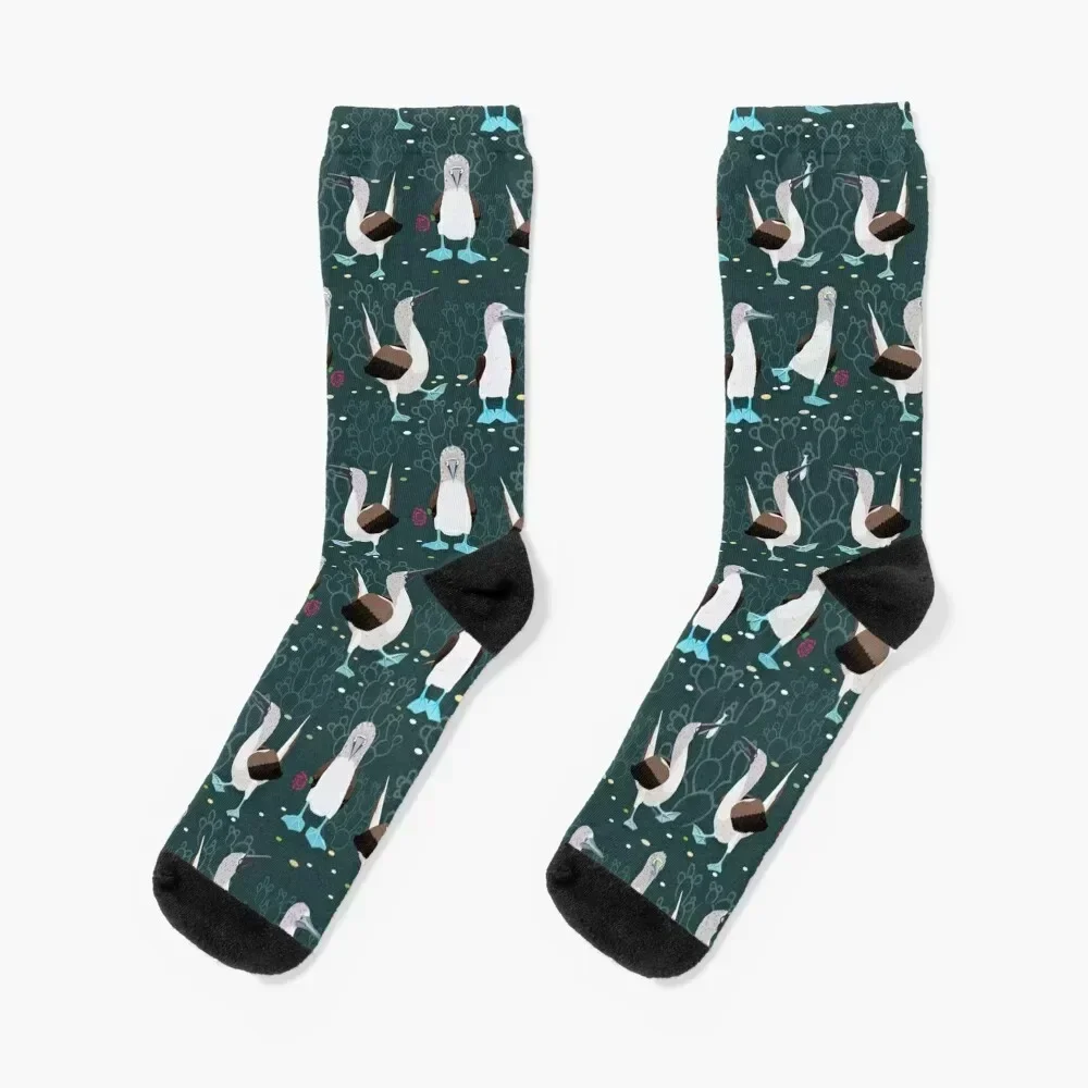 

Blue-footed booby birds pattern Socks Stockings man hiking Socks Men's Women's