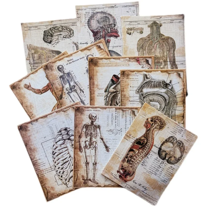 10 Pcs Vintage Human Anatomy Craft Paper Junk Journal Ephemera Antique Medical Photo DIY Album Scrapbooking Material Paper Pack