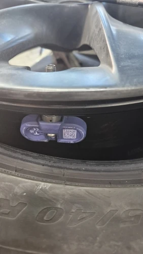 실물 포토 리뷰