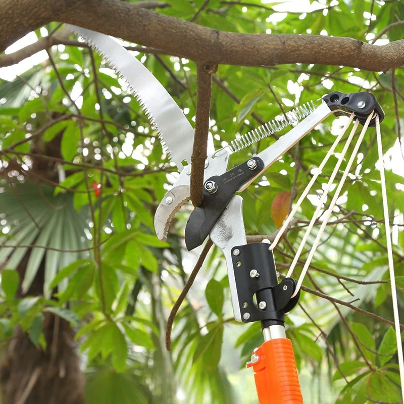 

Пила для обрезки высоких веток 6202, садовая пила для обрезки плодовых деревьев на высоте, с функцией свободного удлинения и сокращения