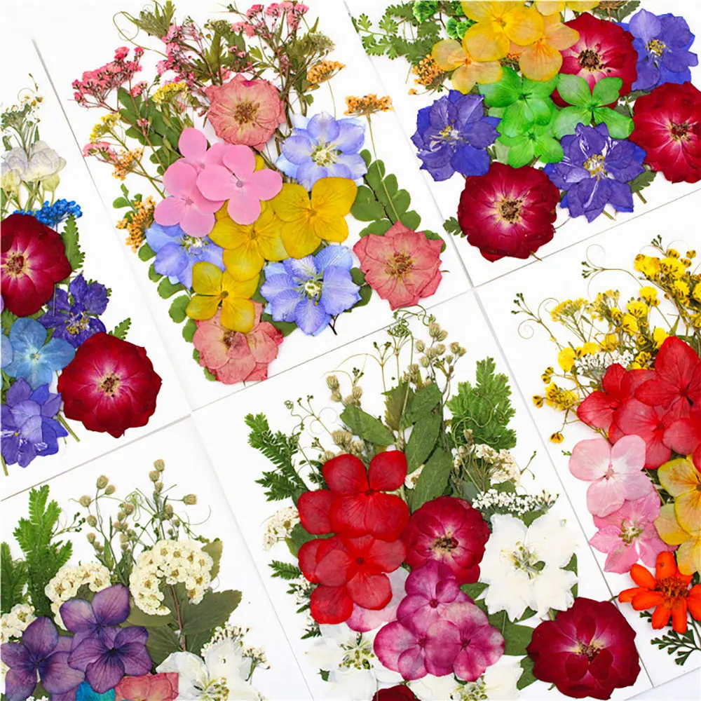 For Fun 40 Styles Dried Flowers Epoxy Resin Mold Fillings DIY UV Nail Art Pressed Flower Home Decor Handicraft Making Material