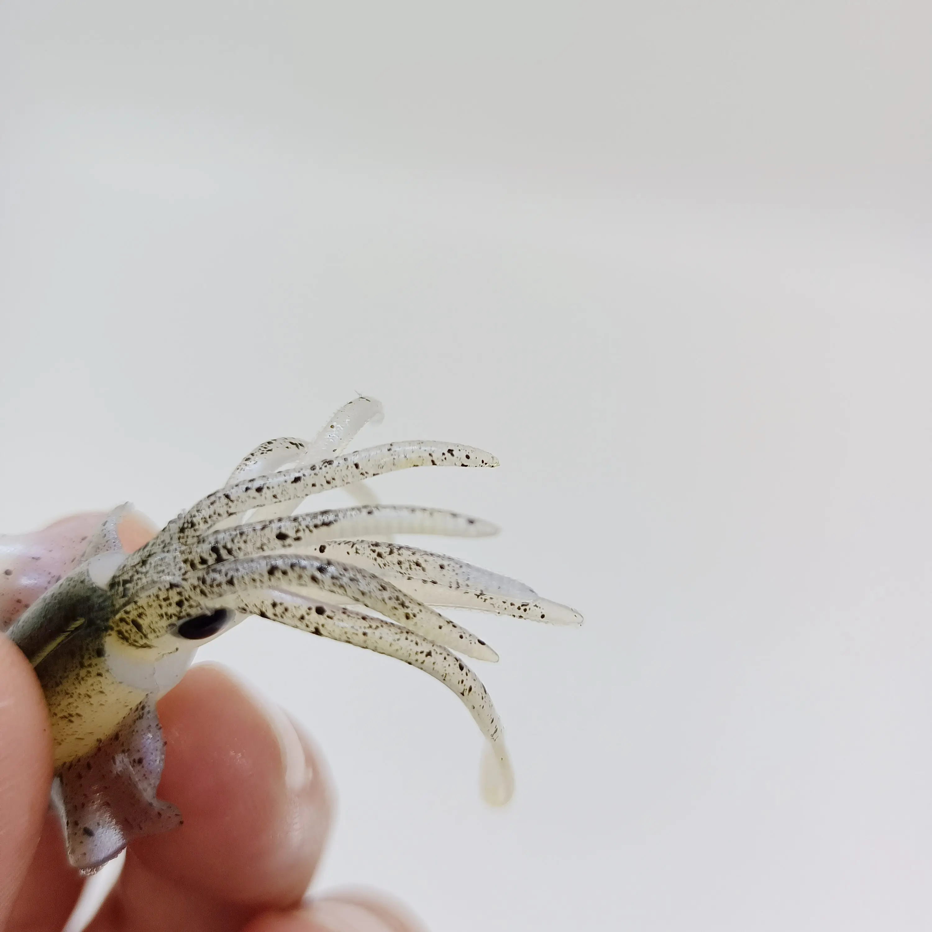 DUODUOYU 1PCS Mini Weiche Tintenfisch Angeln Locken 6cm 2g Leucht UV Tintenfisch Jigs Für Süßwasser Angeln locken Wobbler Köder Angelgerät – Detail 14