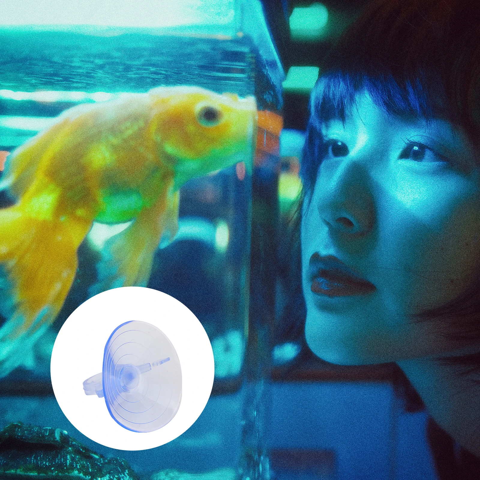 

12pcs PVC Cups 45mm Transparent Pull Vacuum Suckers Fish Tank Fixed Aquarium Reptile Box Glass Strong Adsorption