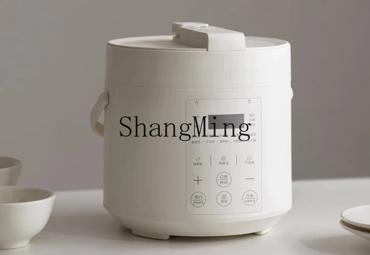 ZYY pentola a pressione elettrica istantanea non rivestita piccola mini pentola a pressione da 2 litri per uso domestico