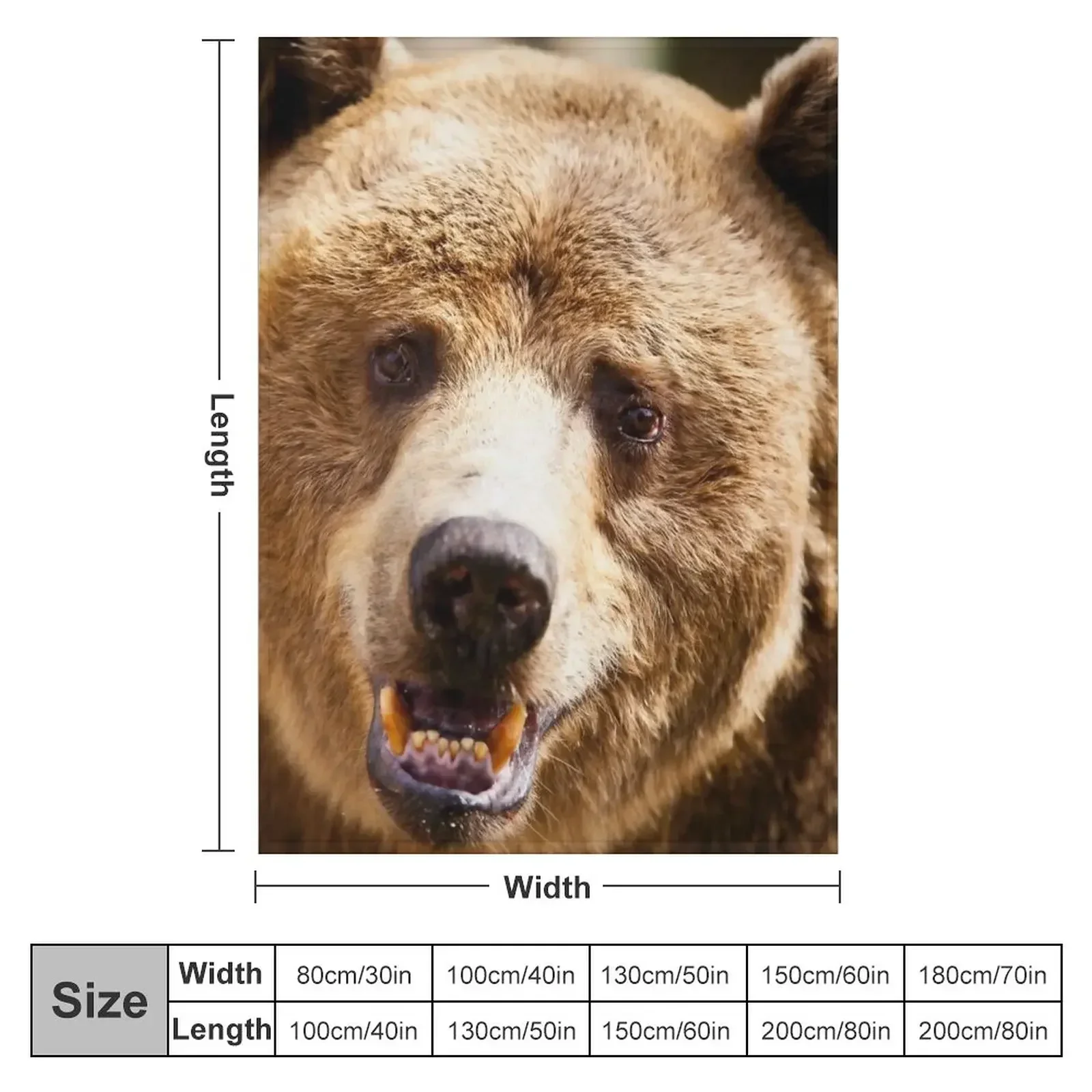 Brown Grizzly Bear Throw Blanket Cute Nap Winter beds Decorative Throw Blankets