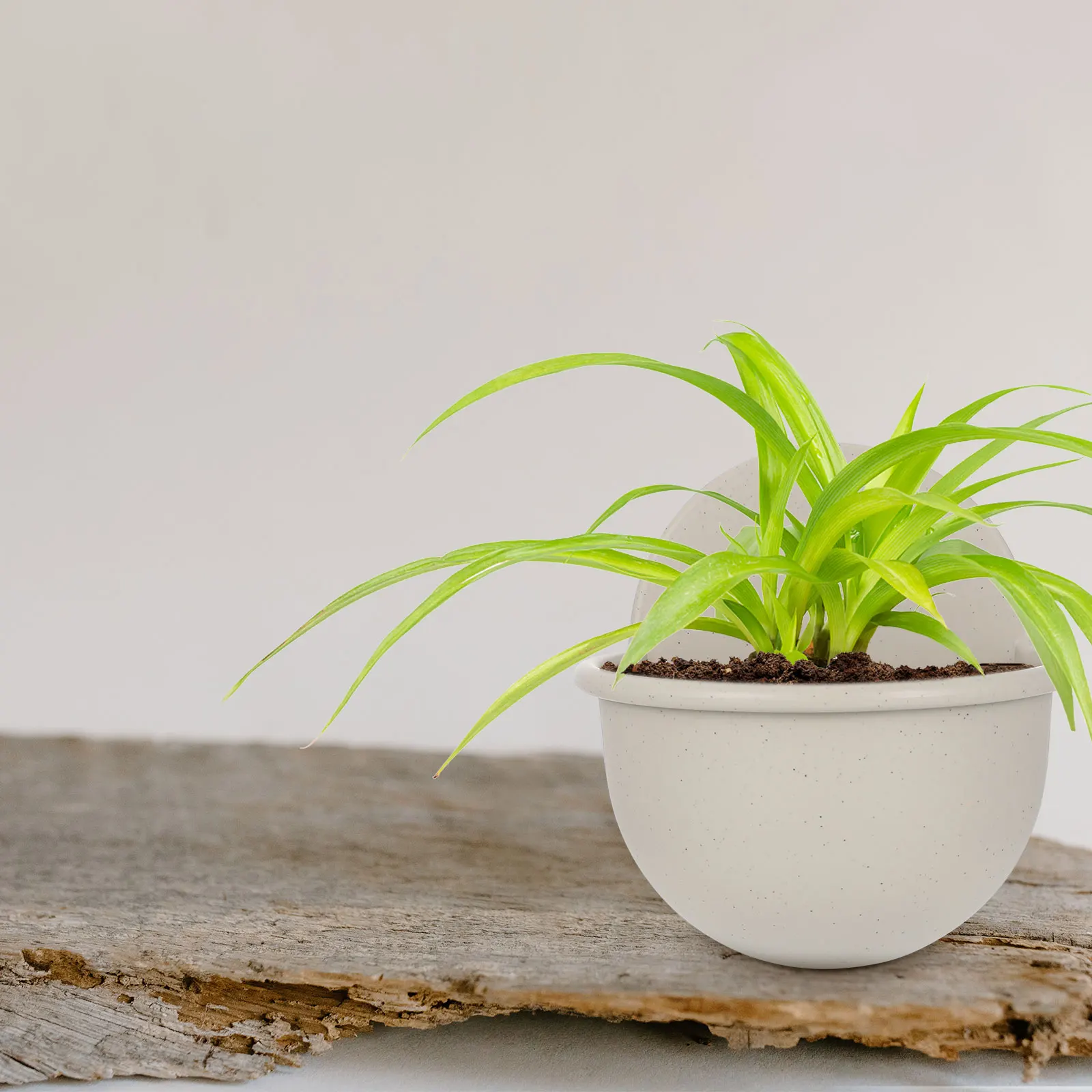 

Wall-Mounted Plastic Flower Pot Hanging Planter Lightweight Eco-Friendly Durable Home Wall Decor Resin Plant Basket Wall Flower