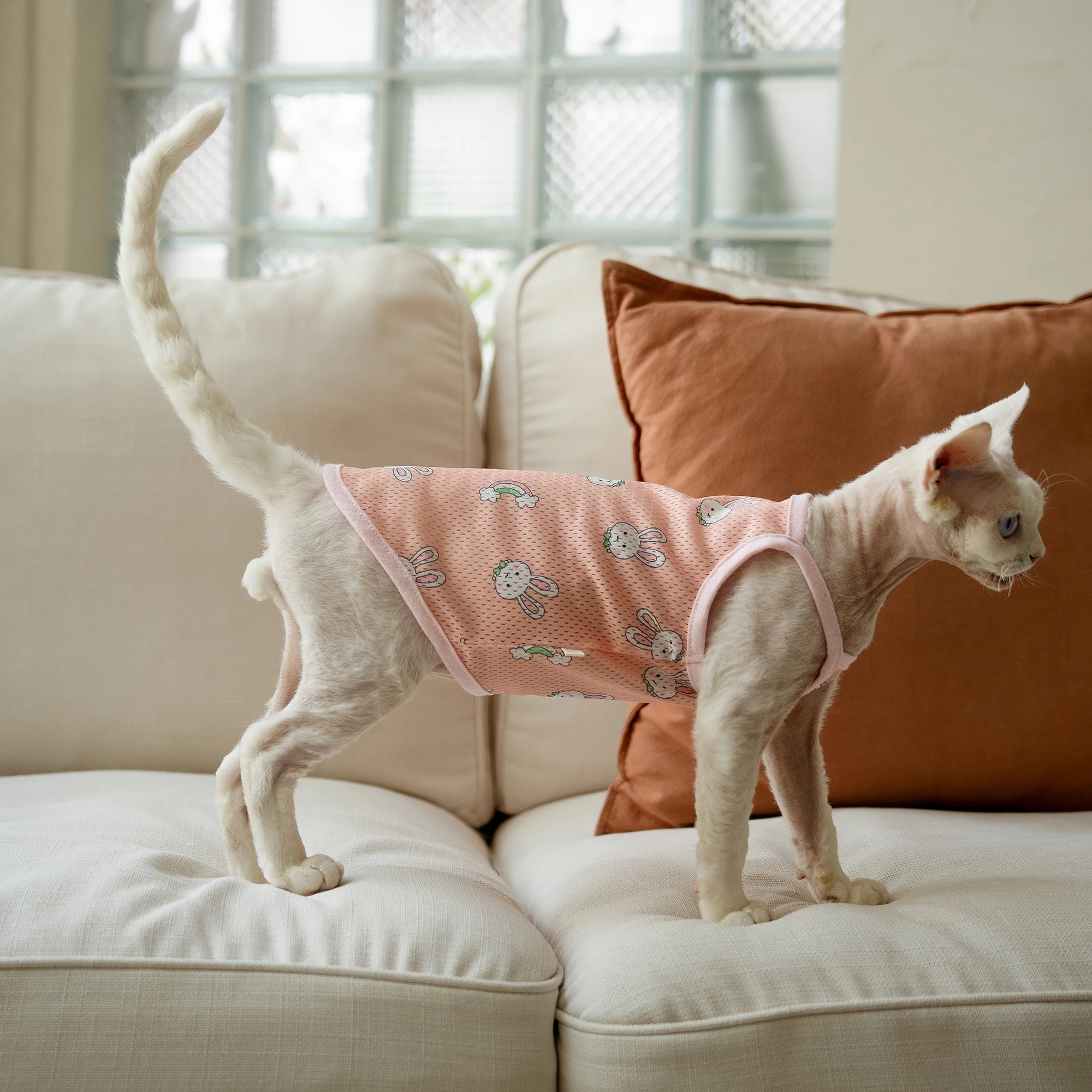 Sphynx Cat Clothes Summer Cooling T-shirt For Kittens Pink Rabbit breathable Vest For Hireless Cat Devon Rex Sun-protective Coat