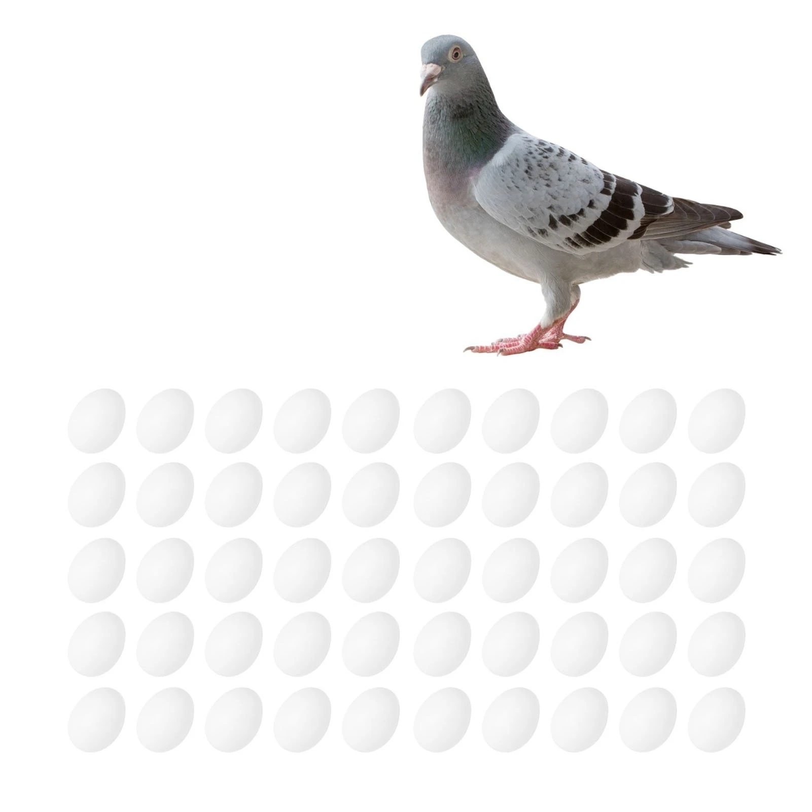 Plastic Fake Pigeon Egg  Fake Egg Simulation Hatching Breeding Supplies for Birds Fake Eggs Simulation Pigeon Eggs