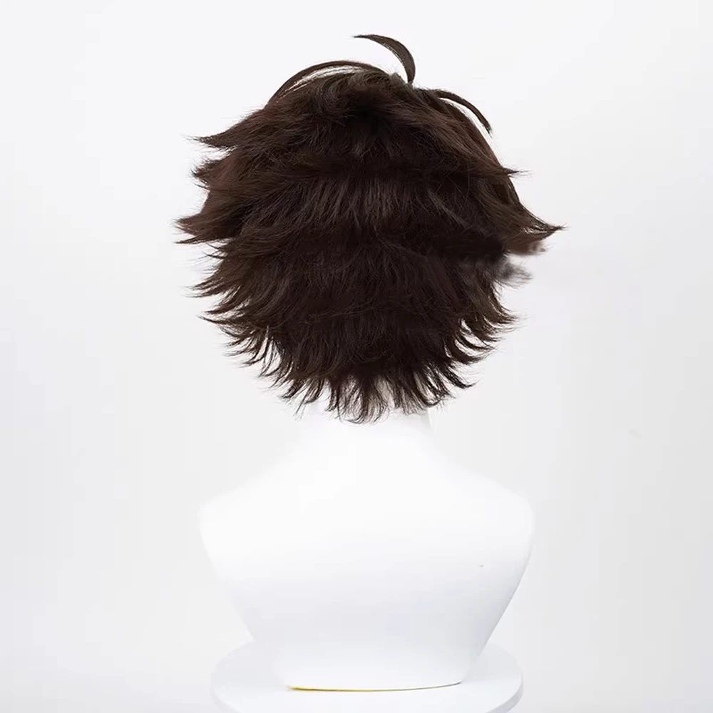 RANYU Men Synthetic Wig Short Straight Wavy Brown Anime Cosplay Fluffy Hair Heat Resistant Wig for Party