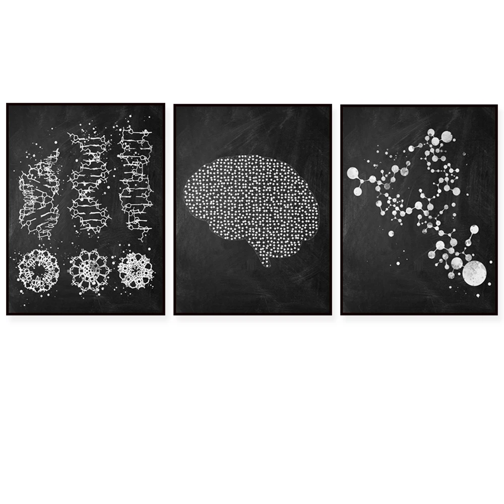 Dna Art, Dna Molecu…