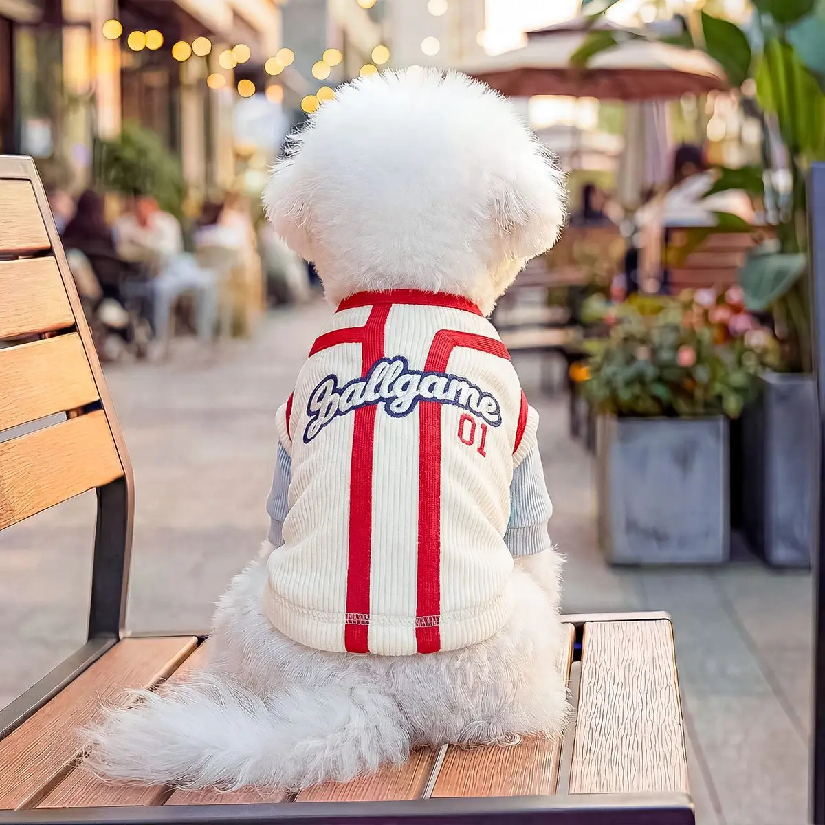 Sudadera con capucha bordada apta para perros pequeños y cachorros