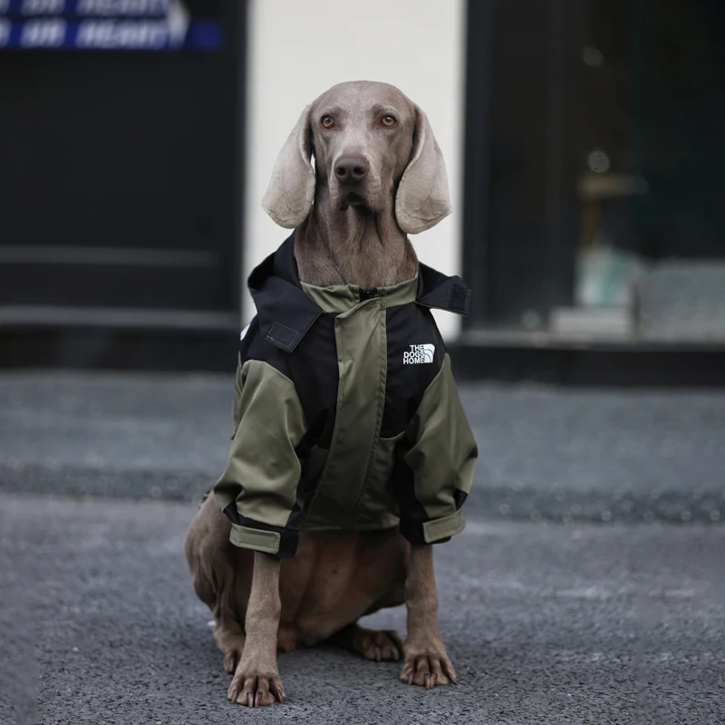 

Fashion Dog Clothes Waterproof Dog Interchange Jacket for Golden Retriever Labrador Media Large Dogs in Winter Spring