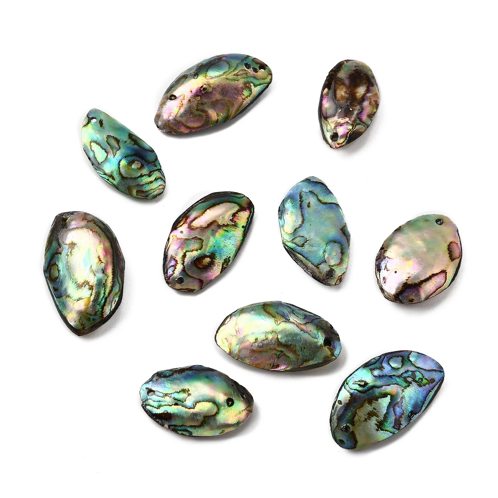 

10pcs Natural Paua Shell Pendants Oval Charms Colorful for Making DIY Jewelry Bracelet Necklace Earring Crafts Supplies