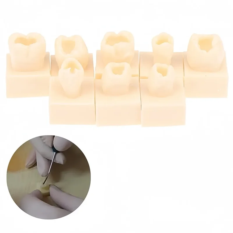 8pcs/set Dental Posterior Student Training Test Model Practice Composite Resin Filling Teeth Jaw Dentistry Equipment Mold Tools