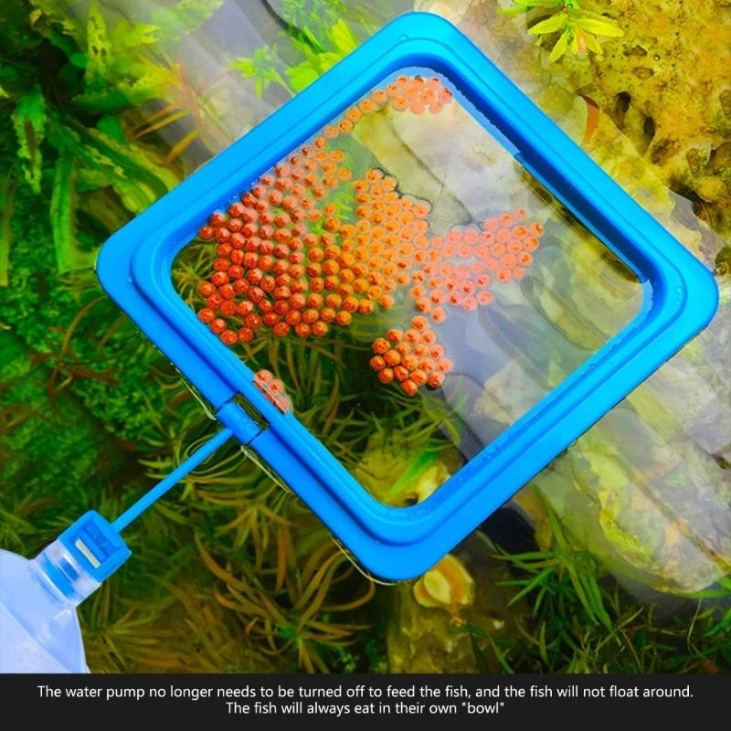 F92B 2pack Рыбанки