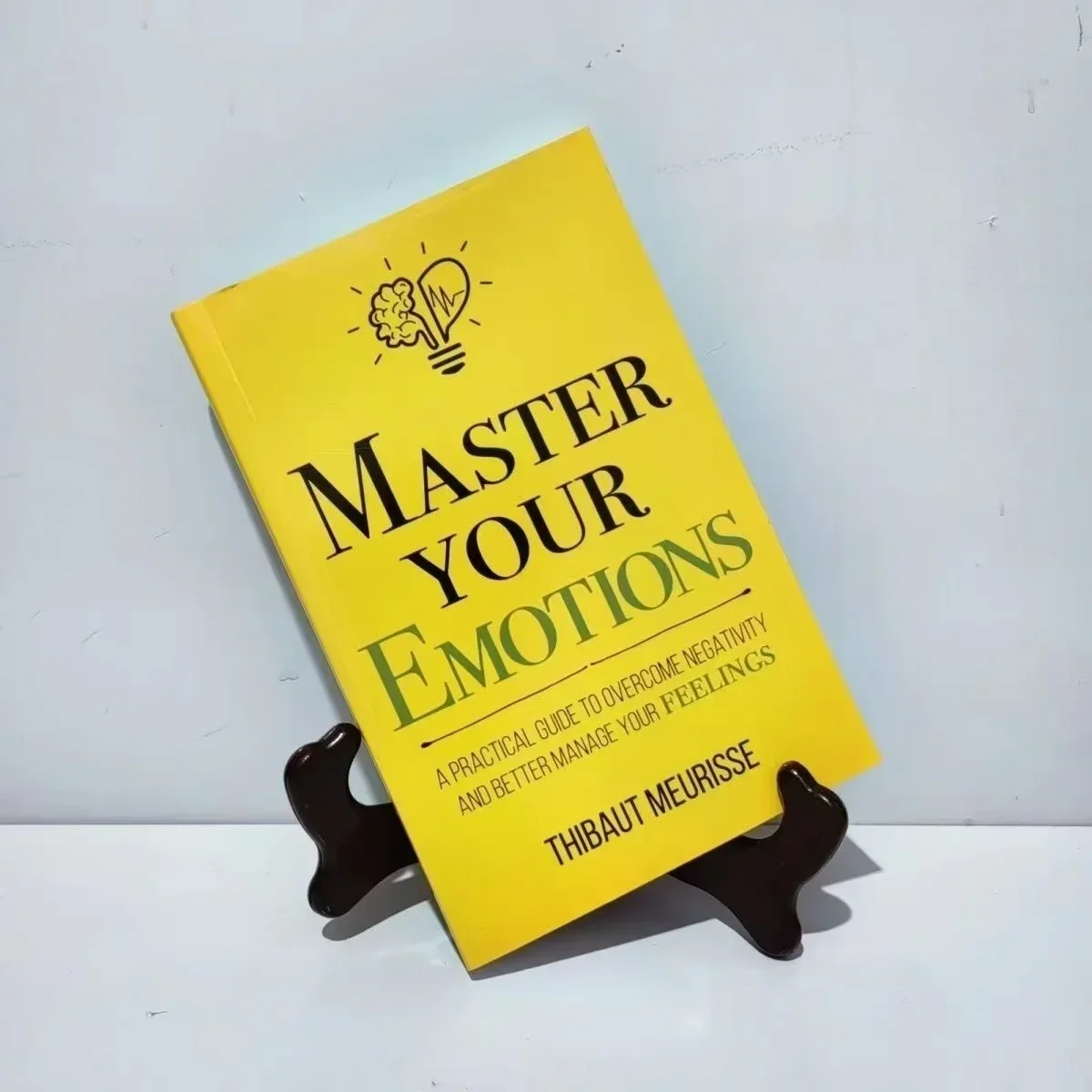 Master Your Emotions By Thibaut Meurisse Inspirational Literature Works To Control Emotions Novel Book Self-Management