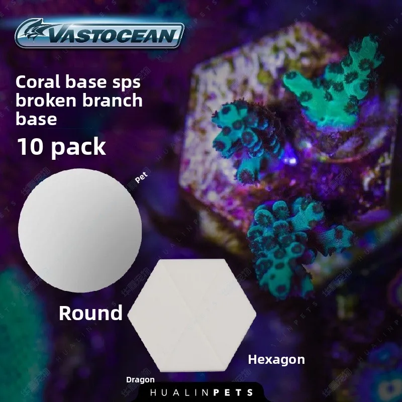 

VASTOCEAN Saltwater Coral Frag Plugs & Discs - Reef Aquarium Propagation Stands for SPS/LPS/Soft Corals - Breeding Base for Zoas