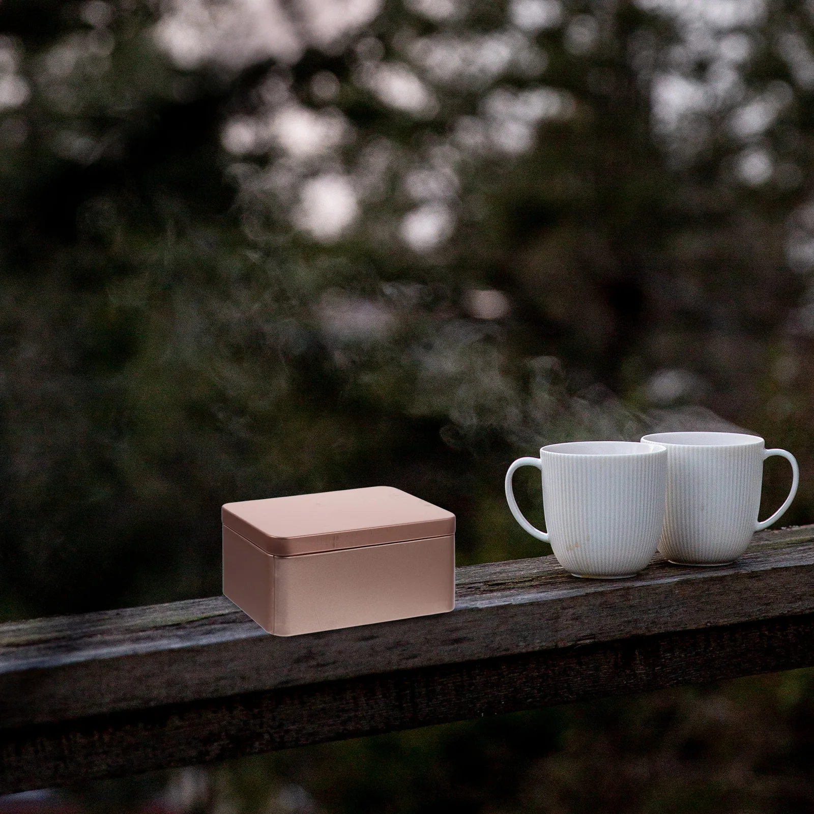 

4Pcs Portable Tin Candy Box Rectangular Metal Tins for Biscuit Wrapping Festive Gift Tins Classic Styles Organizer