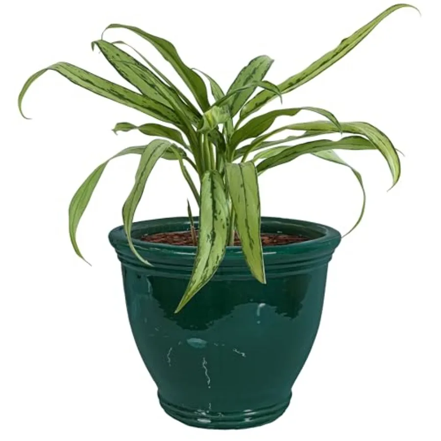 

Большой керамический горшок Sunnydaze - круглый уличный глазурованный керамический кашпо с дренажем - Studio - темно-зеленый - 15