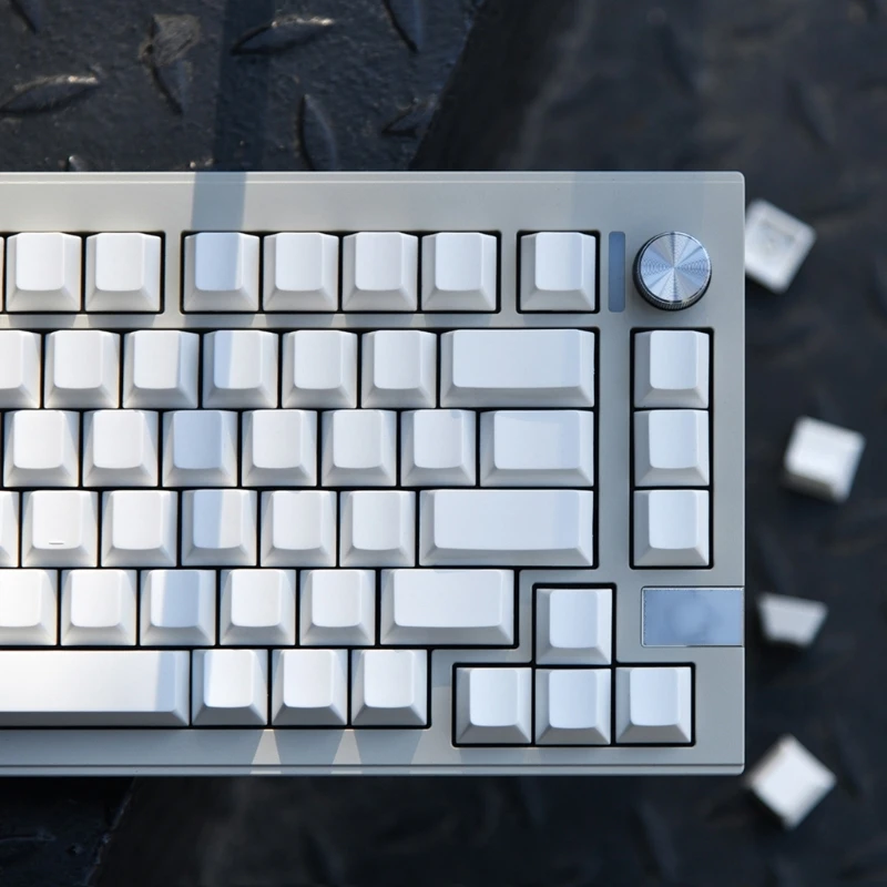 CherryProfile Blanko-Tastenkappen, dickes PBT DyeSub für 137 Tasten mechanische Tastatur, minimalistisches weißes