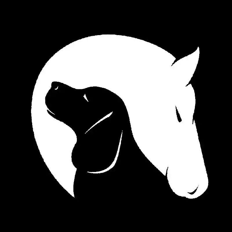 Hund und Pferd Freundschaft Liebe Tiere Dekor Auto Vinyl Aufkleber Stiker schwarz