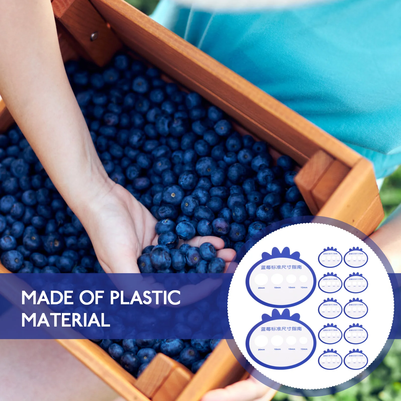 

12Pcs Blueberry Measuring Card Plastic Diameter Gauge Tool for Classification Grading Blueberry Board Diameter Gauge