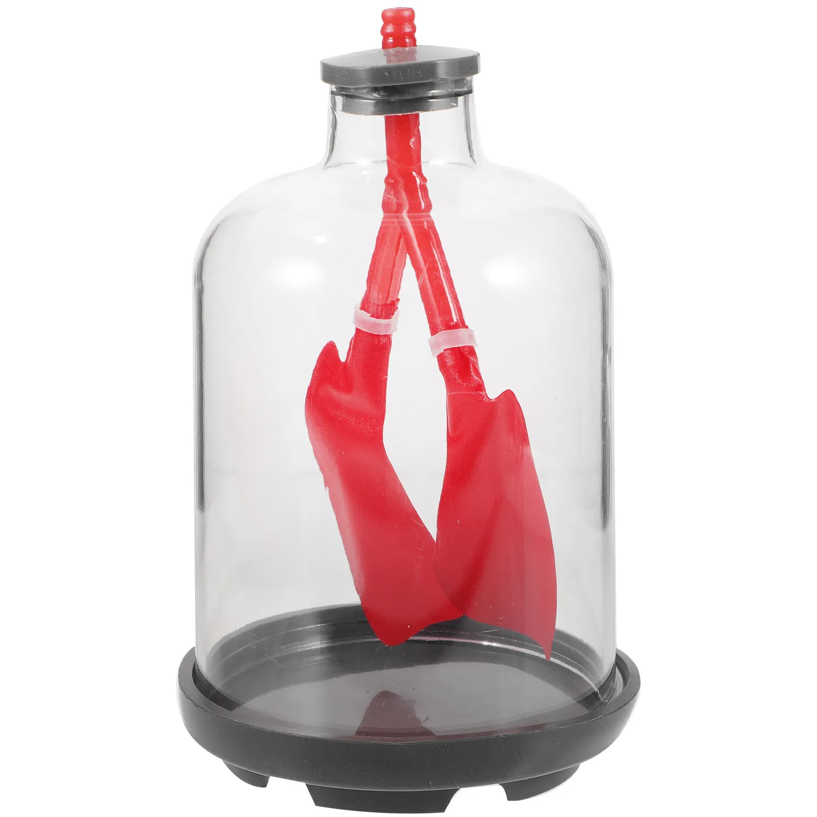 

Учебное пособие для демонстрации дыхания человека: модель легких для изучения функций дыхания и пульмонологии