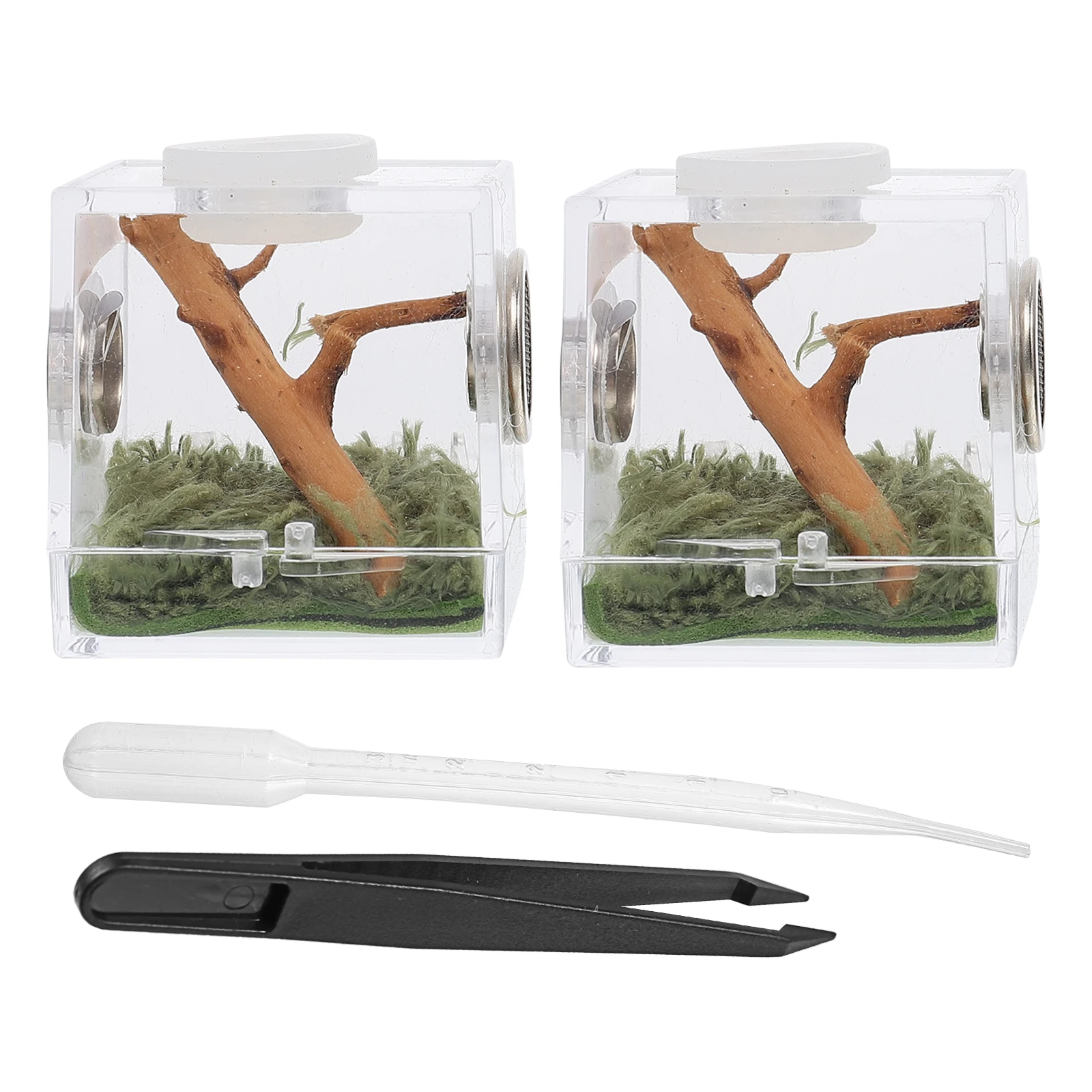 Spider Breeding Box Acrylic Container Clear Case for Jumping Spiders Snails Beetles Portable Habitat Table Decoration Pet